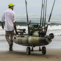 Transport